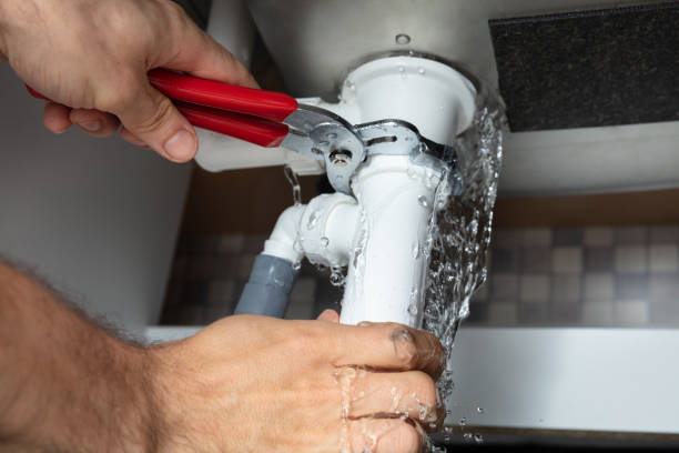 Best Flood restoration services  in Shannon, GA