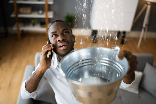 Best Fire Damage Restoration  in Shannon, GA