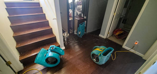 Best Commercial water damage restoration  in Shannon, GA