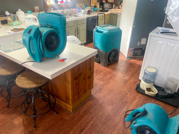 Best Water damage restoration near me  in Shannon, GA