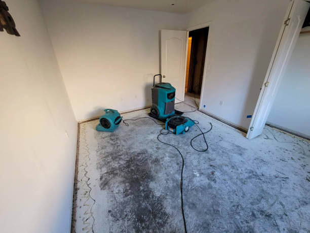 Best Water damage restoration near me  in Shannon, GA