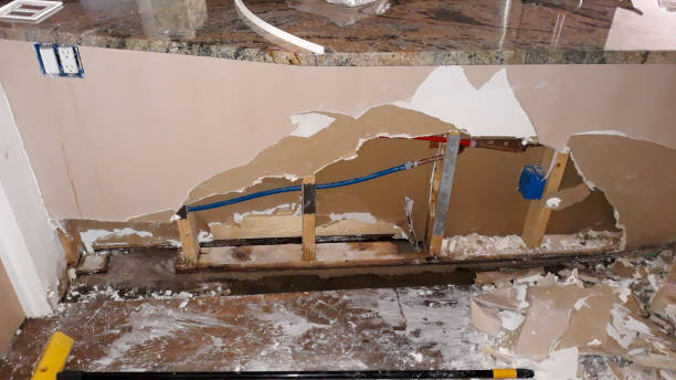 Best Commercial water damage restoration  in Shannon, GA