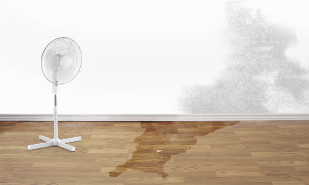 Best Sewage cleanup and water damage restoration  in Shannon, GA