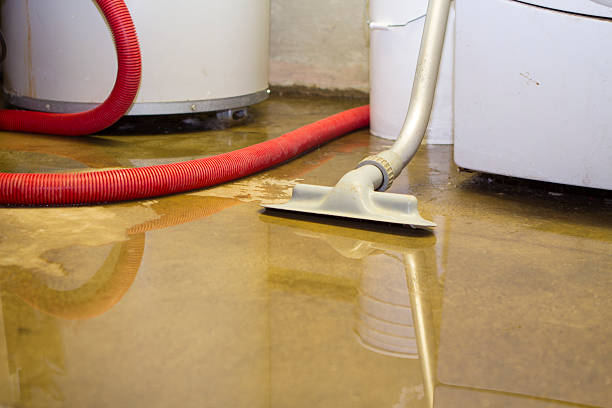 Best Mold removal after water damage  in Shannon, GA