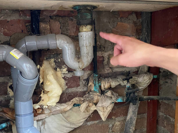 Best Professional water damage repair  in Shannon, GA