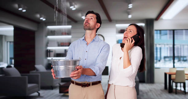 Best Flooded house restoration  in Shannon, GA