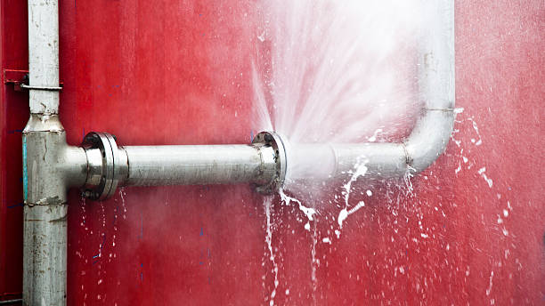 Best Carpet water damage restoration  in Shannon, GA
