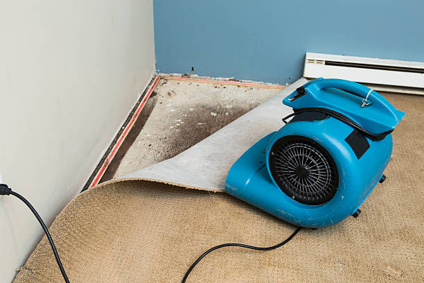 Best Residential water damage restoration  in Shannon, GA